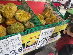 -双福水果批发市场