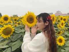 -映月湖中央公园