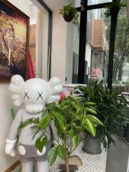 -宝贝家族国际影像馆(东郊记忆店)