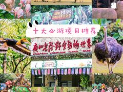 -广州长隆野生动物世界