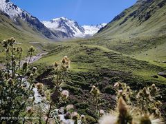 -新疆那拉提国家旅游度假区
