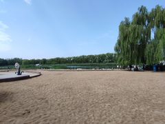 -大兴滨河森林公园
