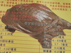 -大圣甲(汉口店)