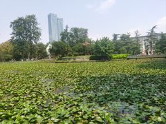 -四川大学(望江校区)