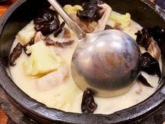 -石锅先生