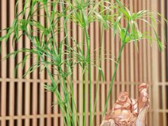 -梅间堂茶馆(绿地缤纷城店)