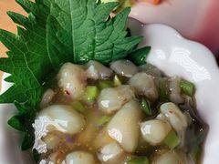 -琴寿司居酒屋(中山广场店)