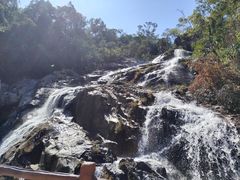 -霸王岭国家森林公园