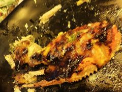 -The Cheebat 锌吧·Bistro(体育西店)