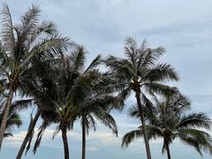 -玫瑰海岸文化旅游度假区