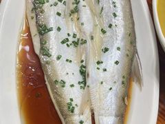 清蒸白丝鱼-福满楼(锦溪古镇店)