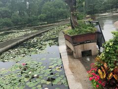 -白马涧龙池景区