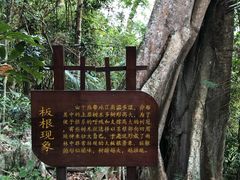 -海南热带雨林国家公园吊罗山景区