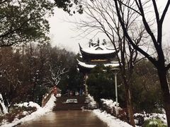 -长广溪湿地公园