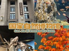 -国家自然博物馆