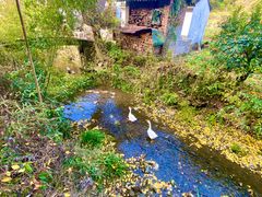 -新安江山水画廊风景区