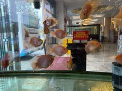 -玉雪春天(中正花园店)