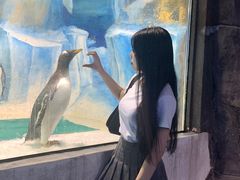 -台州海洋世界