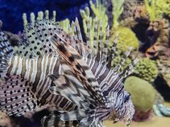 -上海海洋水族馆