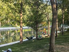 -朝阳公园游乐园