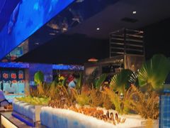-曼格活海鲜·牛排自助(光明蓝鲸店)