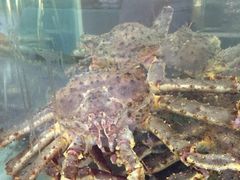 -东江海鲜酒家(客村店)