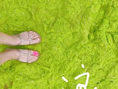 -青岛石老人海水浴场