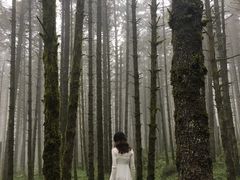 -石棉县孟获城
