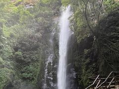 -莫里热带雨林景区