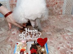 -逸绮瑶澜Miss Mousse Cake蛋糕(三里屯SOHO店)