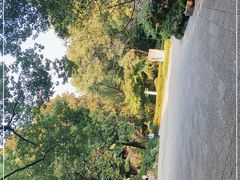 -杭州半山国家森林公园