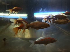 iphone_upload_pic-中影国际影城(兰生大厦CINITY LED店)