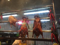 -鹅城