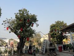-长洲岛都市农业公园