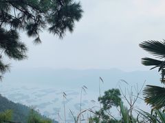 -仙岛湖旅游风景区