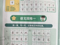 -大卫美术教育(南湖中央广场校区)