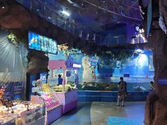 -烟台海昌鲸鲨海洋公园