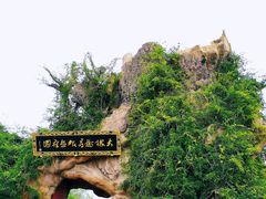 -大槐树寻根祭祖园