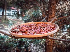 -一号铺子·大炉茶