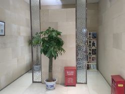 -银座Calla日式美容沙龙