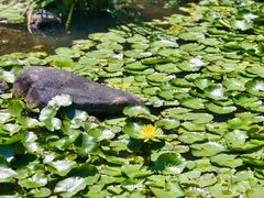 -苏州河梦清园环保主题公园