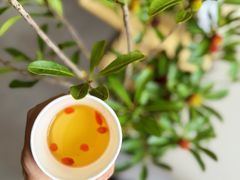 -大鱼·养生·禅洗头疗·按摩SPA