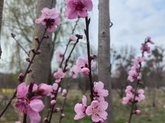 -花溪公园