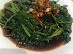 白灼番薯苗-宝园酒家(美林M·LIVE天地东座店)