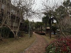 -洪湖悦兮半岛国际温泉度假村