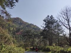 -木兰云雾山