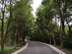 -南京市江宁方山