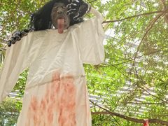 -龙达温泉生态城