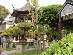 -碧江金楼