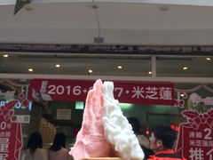 -柠檬车露(卖草地店)